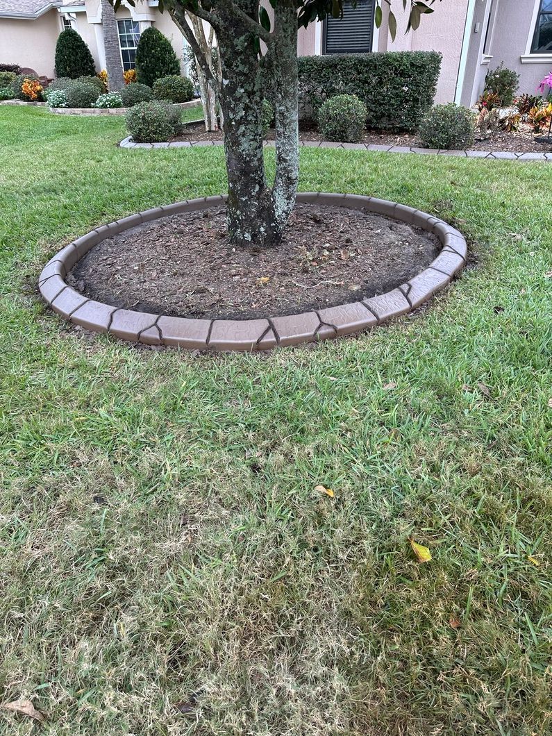 Tree trunk encircled by a stone border in a grassy yard.