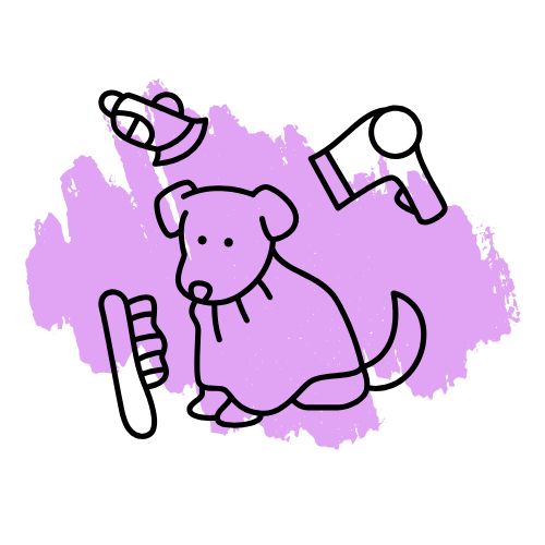 A dog is sitting next to a brush and a hair dryer on a purple background.
