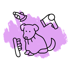 A dog is sitting next to a brush and a hair dryer on a purple background.