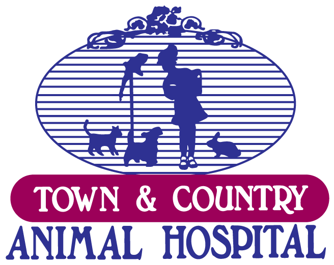 Town & Country Animal Hospital - Vet - Frontenac KS