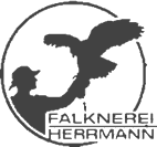 Rittergut Adlershof zu Oberlauterbach - Logo Falknerei © Hans Peter Herrmann