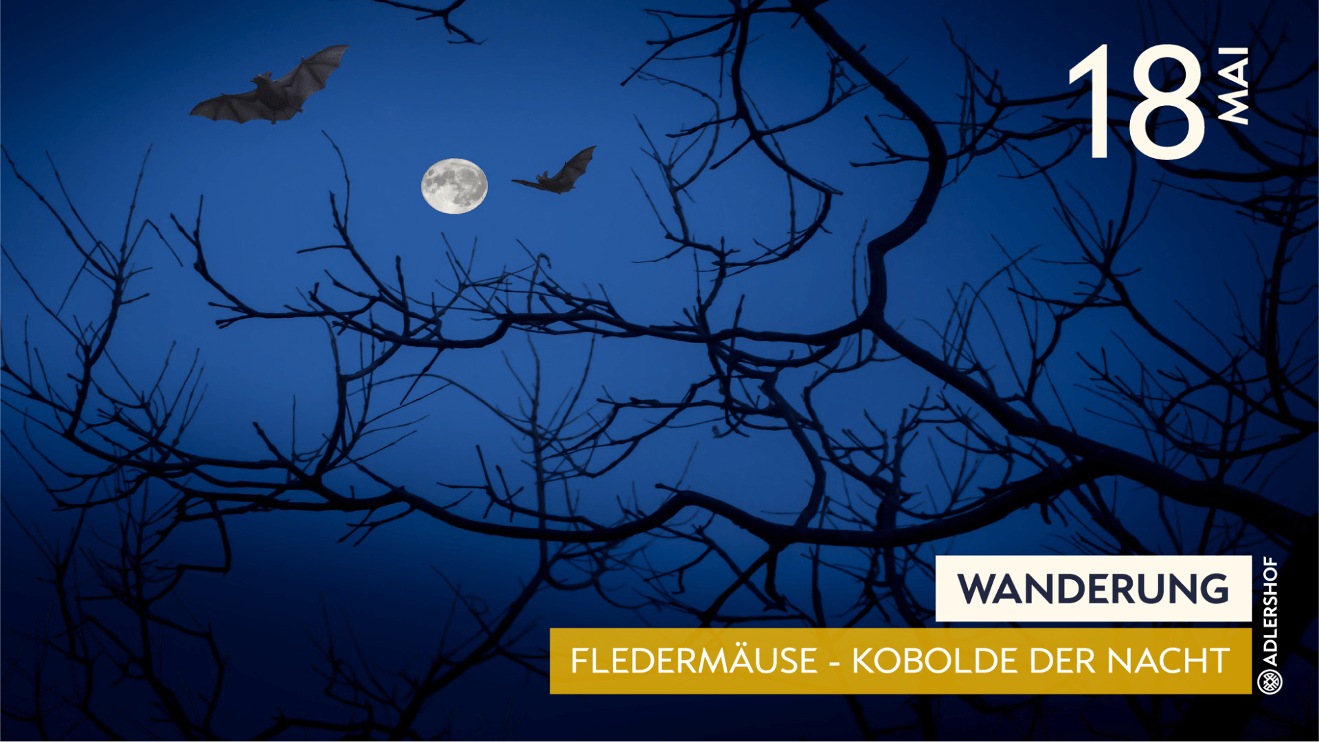 Rittergut Adlershof Umweltzentrum  - Fledermäuse Kobolde der Nacht © Jens Reiher