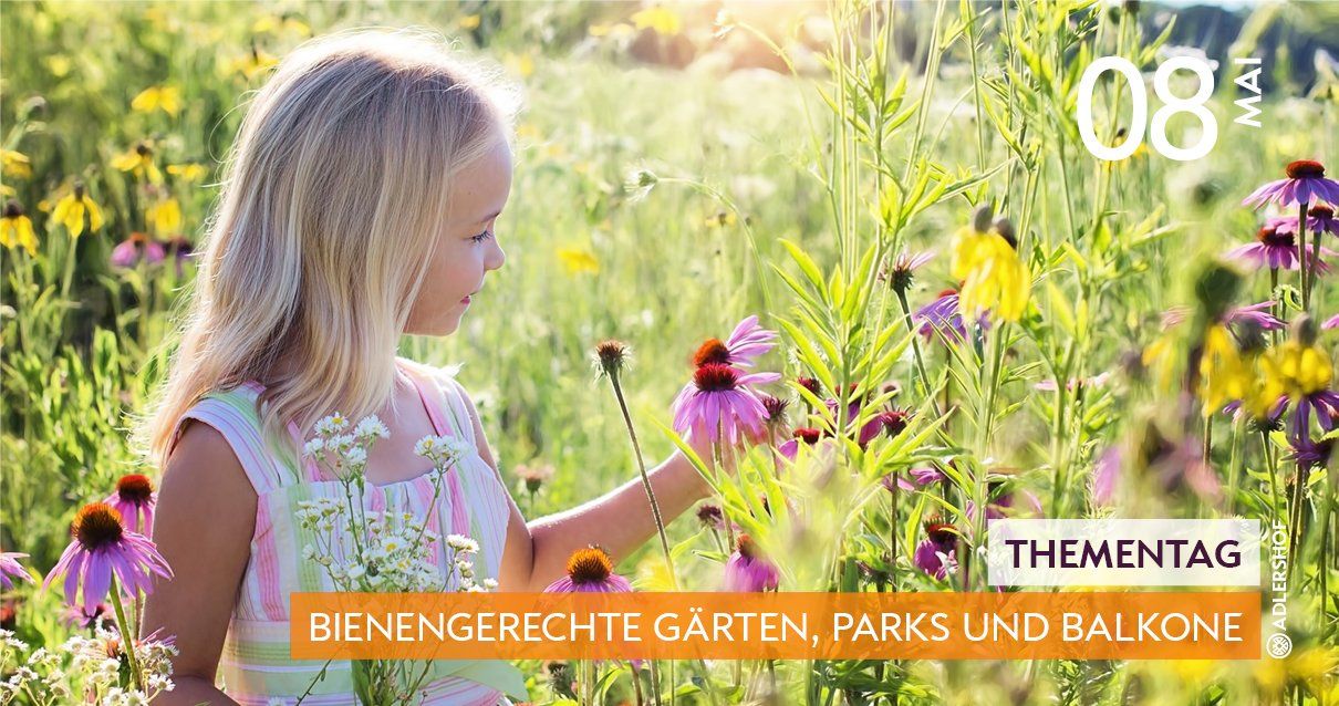 Rittergut Adlershof Umweltzentrum Oberlauterbach Vogtland NUZ - Bienengerechte Gärten, Parks und Balkone © Jens Reiher
