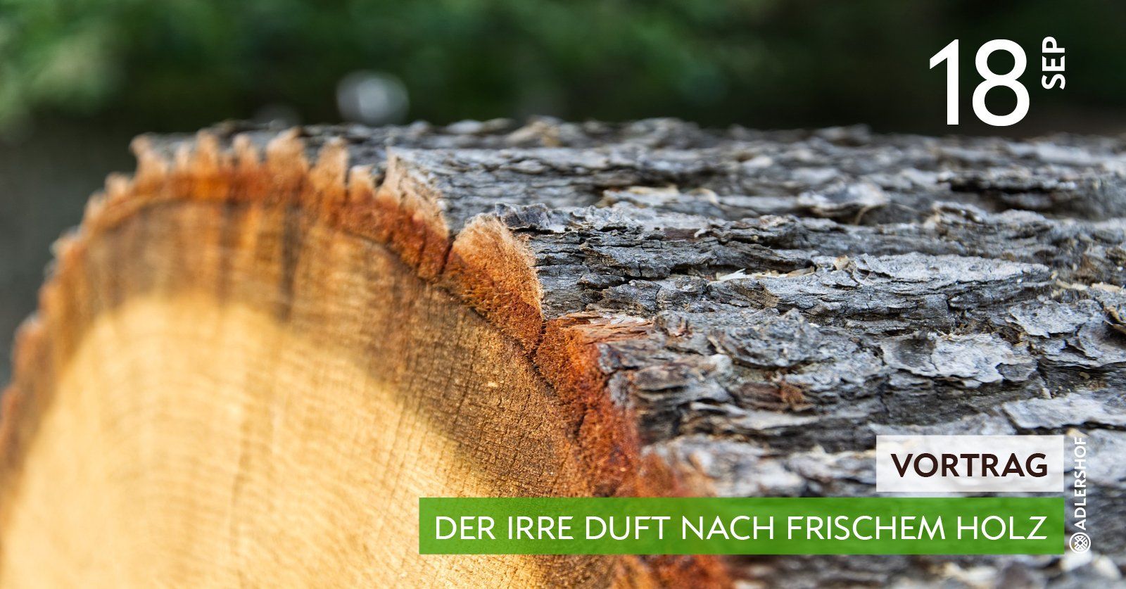 Rittergut Adlershof Umweltzentrum Oberlauterbach Vogtland - Der irre Duft nach Holz  © Jens Reiher