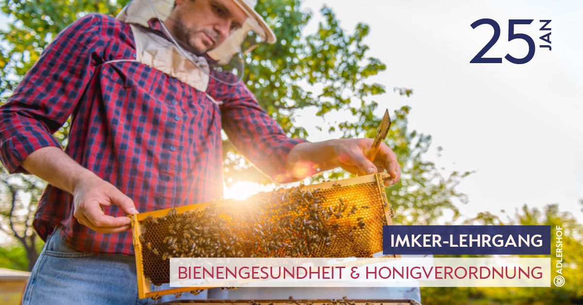 Rittergut Adlershof Umweltzentrum Oberlauterbach Vogtland NUZ - Bienengesundheit © Jens Reiher