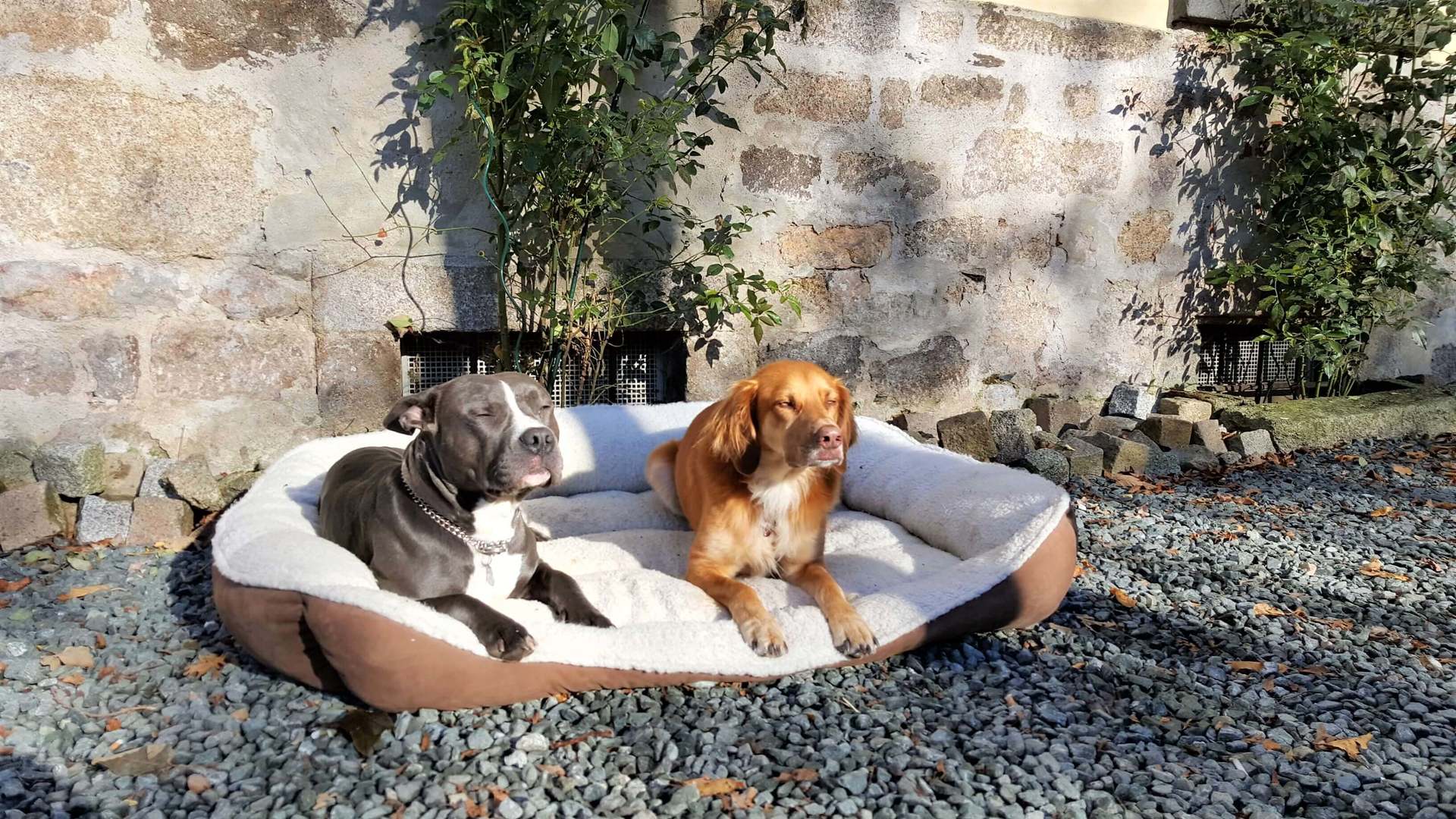 Rittergut Adlershof Umweltzentrum Oberlauterbach Vogtland NUZ - Sonnenhunde © Jens Reiher