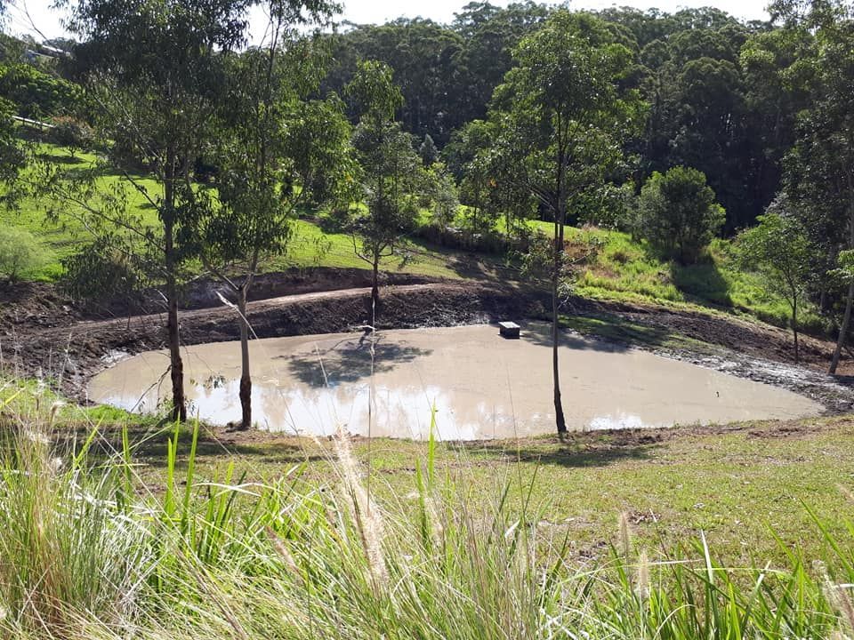 A Small Pond In The Middle Of A Field With Trees In The Background