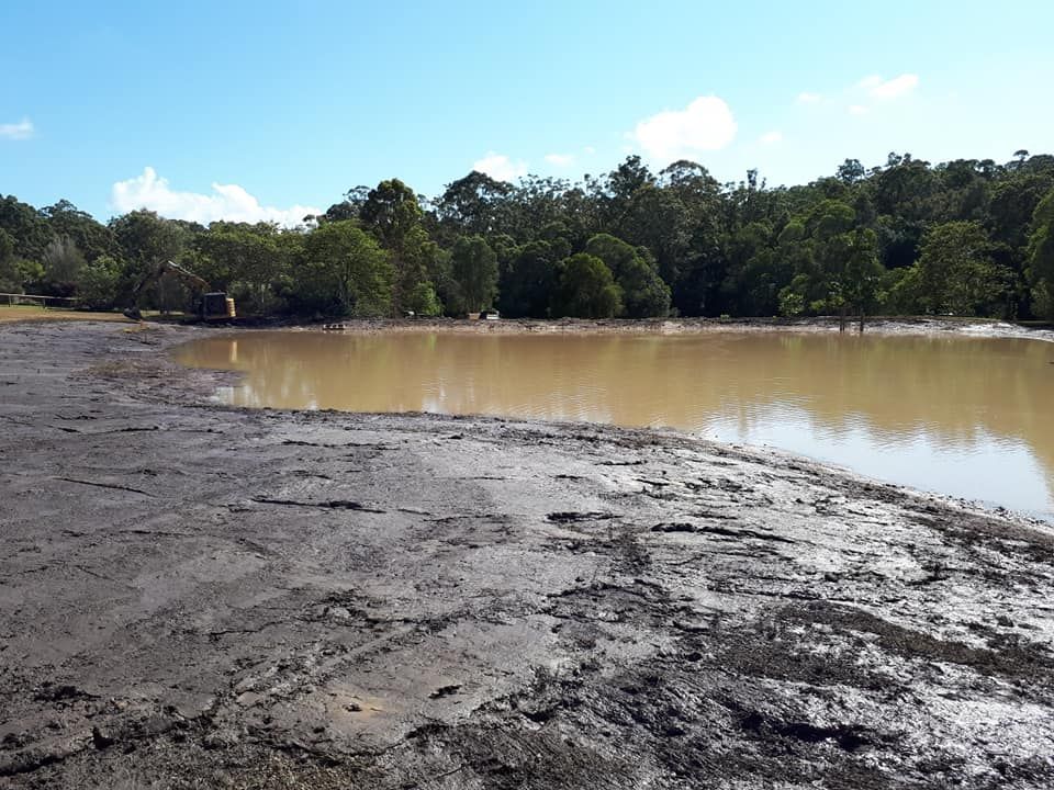 A large body of water with trees in the background