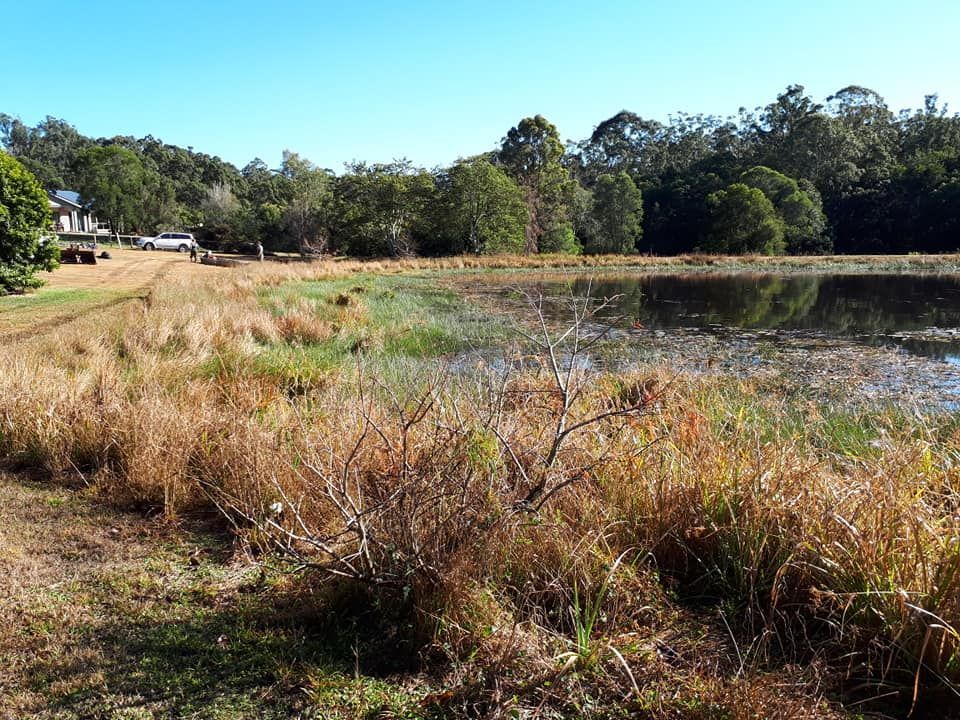 A Large Body Of Water Surrounded By Tall Grass And Trees — Dams Cleaned in Gympie, QLD