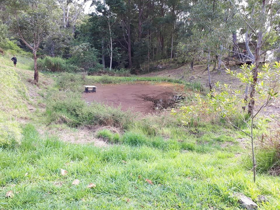 A Grassy Field With Trees In The Background And A Bench In The Middle — Dams Cleaned in Gympie, QLD