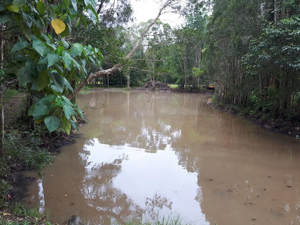 A Muddy Pond Surrounded By Trees In The Middle Of A Forest — Dams Cleaned in Brisbane, QLD