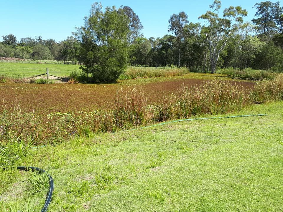 A Grassy Field With Trees In The Background And A Hose In The Foreground — Dams Cleaned in Gold Coast, QLD