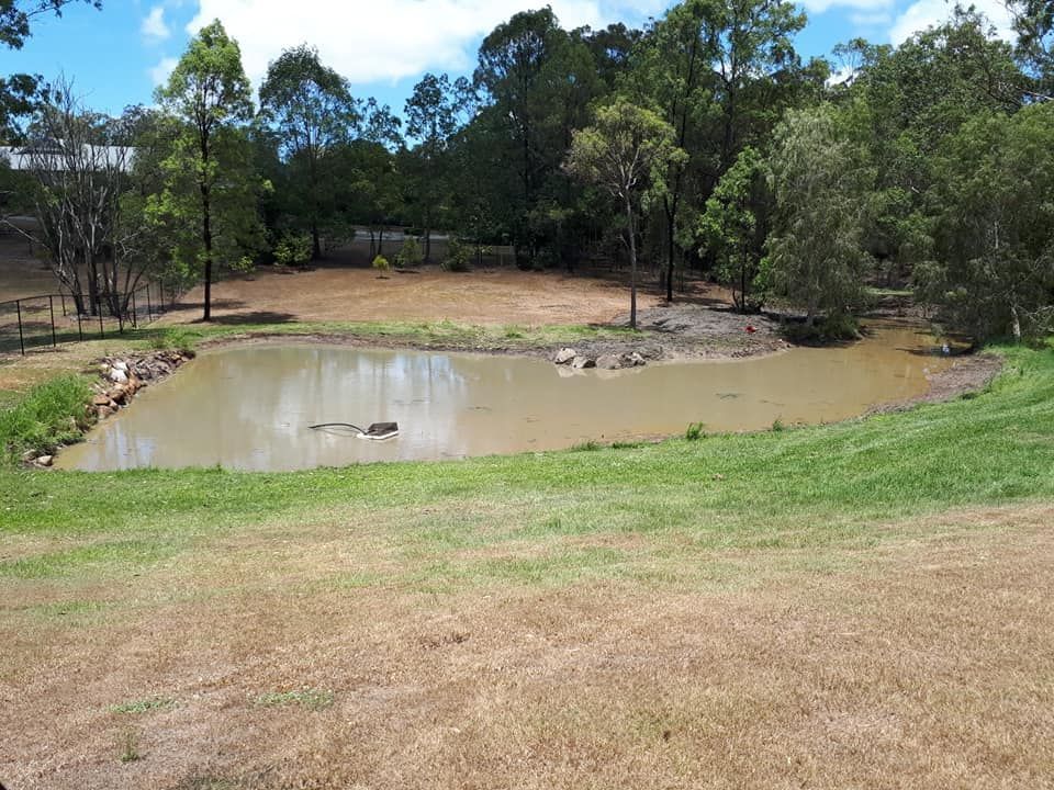 A Small Pond In The Middle Of A Grassy Field — Dams Cleaned in Gold Coast, QLD