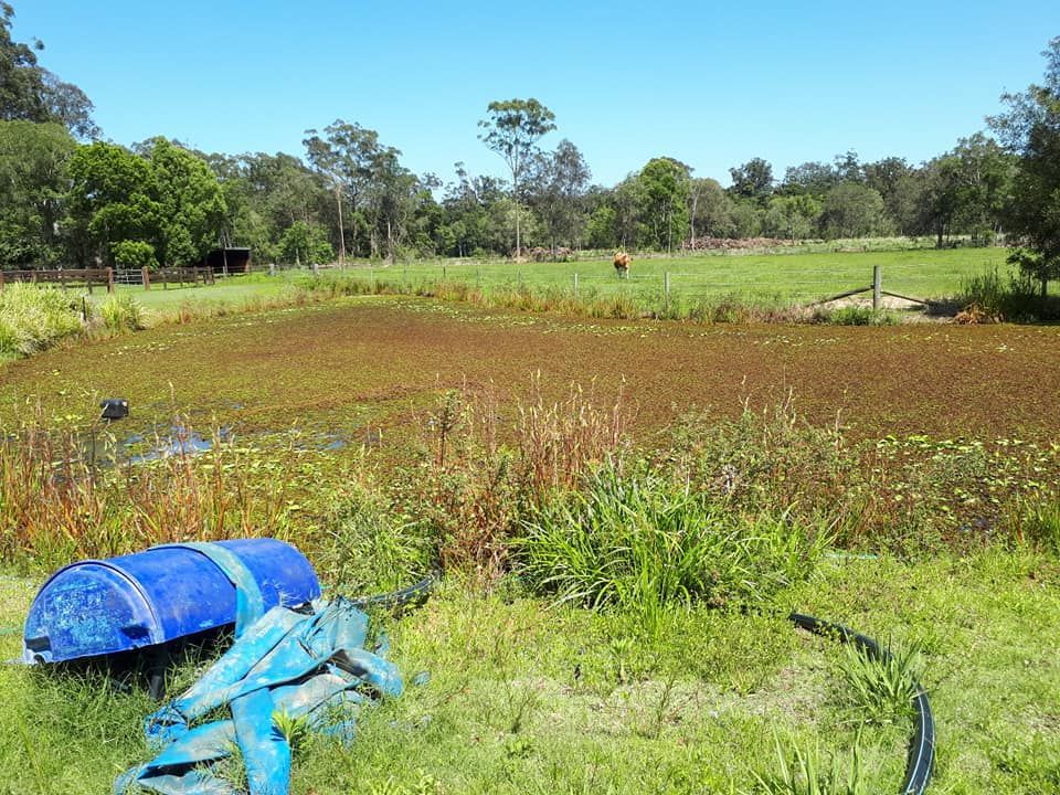 A Blue Barrel Sits In The Middle Of A Grassy Field — Dams Cleaned in Sunshine Coast, QLD