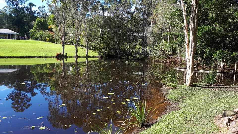 A Lake Surrounded By Trees And Grass With A House In The Background — Dams Cleaned in Gympie, QLD