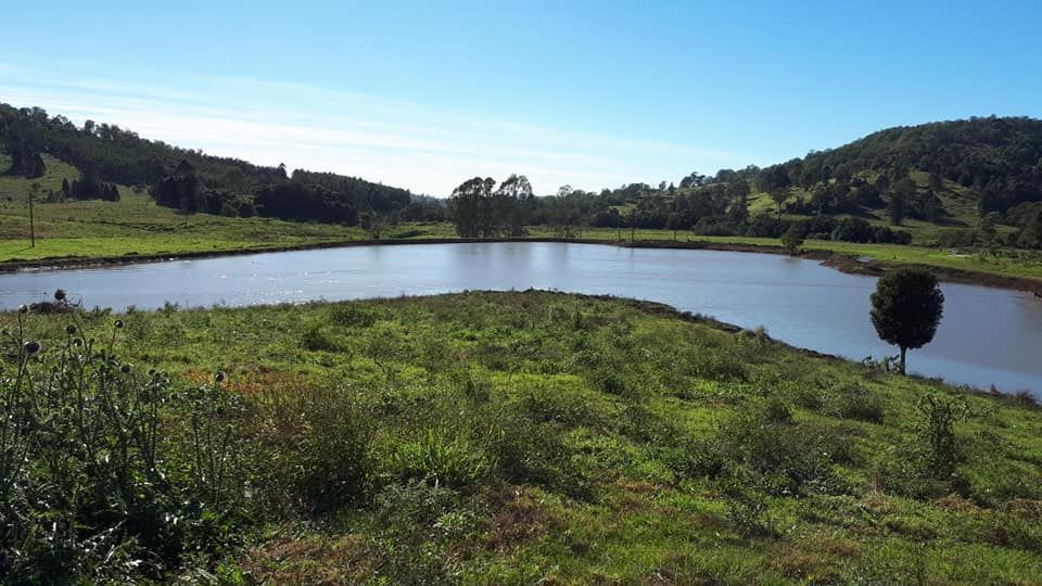 There Is A Small Lake In The Middle Of A Grassy Field — Dams Cleaned in Gold Coast, QLD