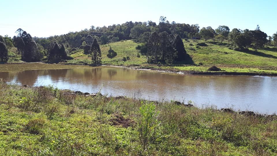 A Small Pond In The Middle Of A Grassy Field — Dams Cleaned in Gold Coast, QLD