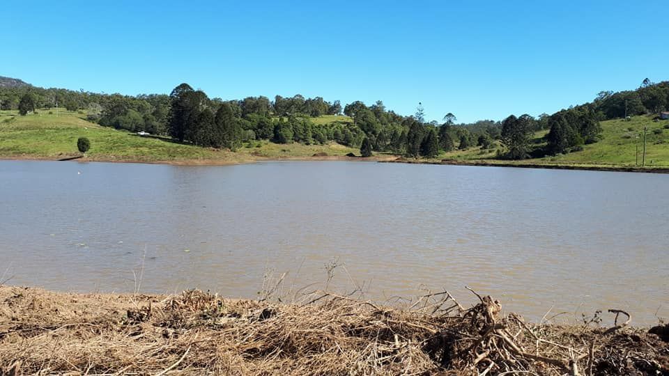 A Large Body Of Water Surrounded By Trees On A Sunny Day — Dams Cleaned in Sunshine Coast, QLD