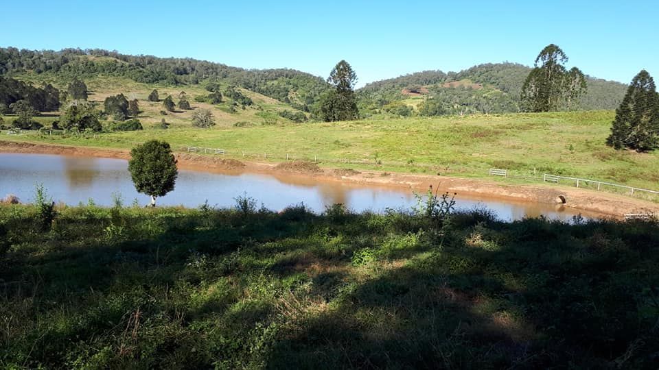 A Small Lake In The Middle Of A Grassy Field With Mountains In The Background — Dams Cleaned in Sunshine Coast, QLD