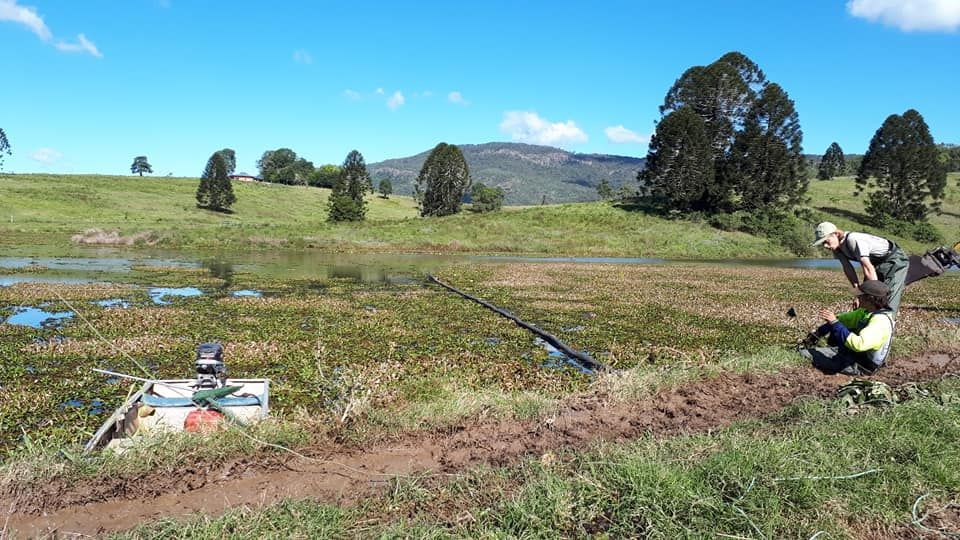 A Man Is Kneeling On The Ground In A Field Next To A River — Dams Cleaned in Mudjimba, QLD