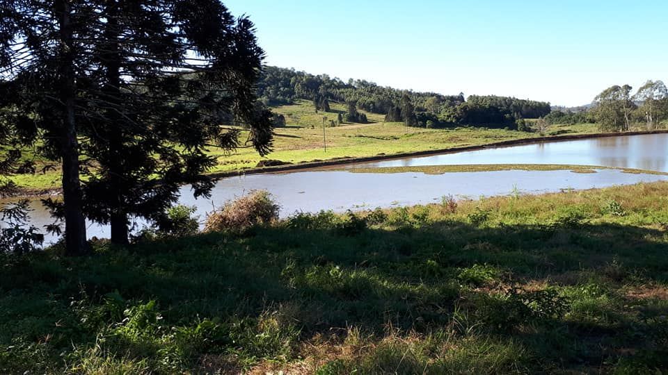 A Large Body Of Water Surrounded By Grass And Trees — Dams Cleaned in Mudjimba, QLD