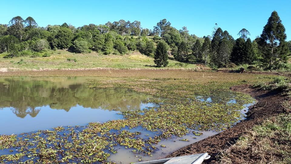 A Large Body Of Water With Trees In The Background — Dams Cleaned in Mudjimba, QLD