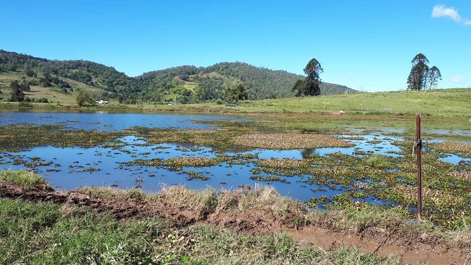 A Swamp With Mountains In The Background And A Fence In The Foreground — Dams Cleaned in Mudjimba, QLD