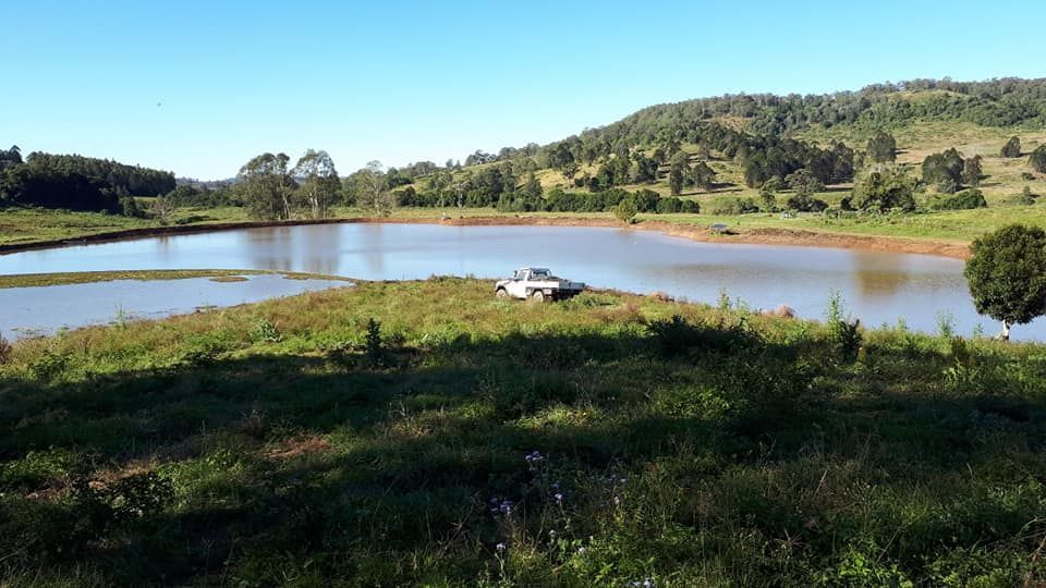 A Small Lake In The Middle Of A Grassy Field Surrounded By Trees — Dams Cleaned in Mudjimba, QLD