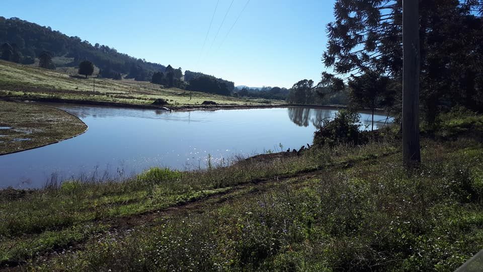 A Large Body Of Water Surrounded By Grass And Trees — Dams Cleaned in Mudjimba, QLD