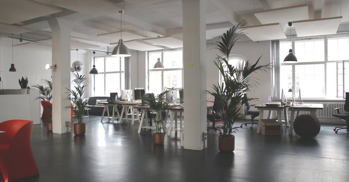 A large open office with lots of tables and chairs and plants.