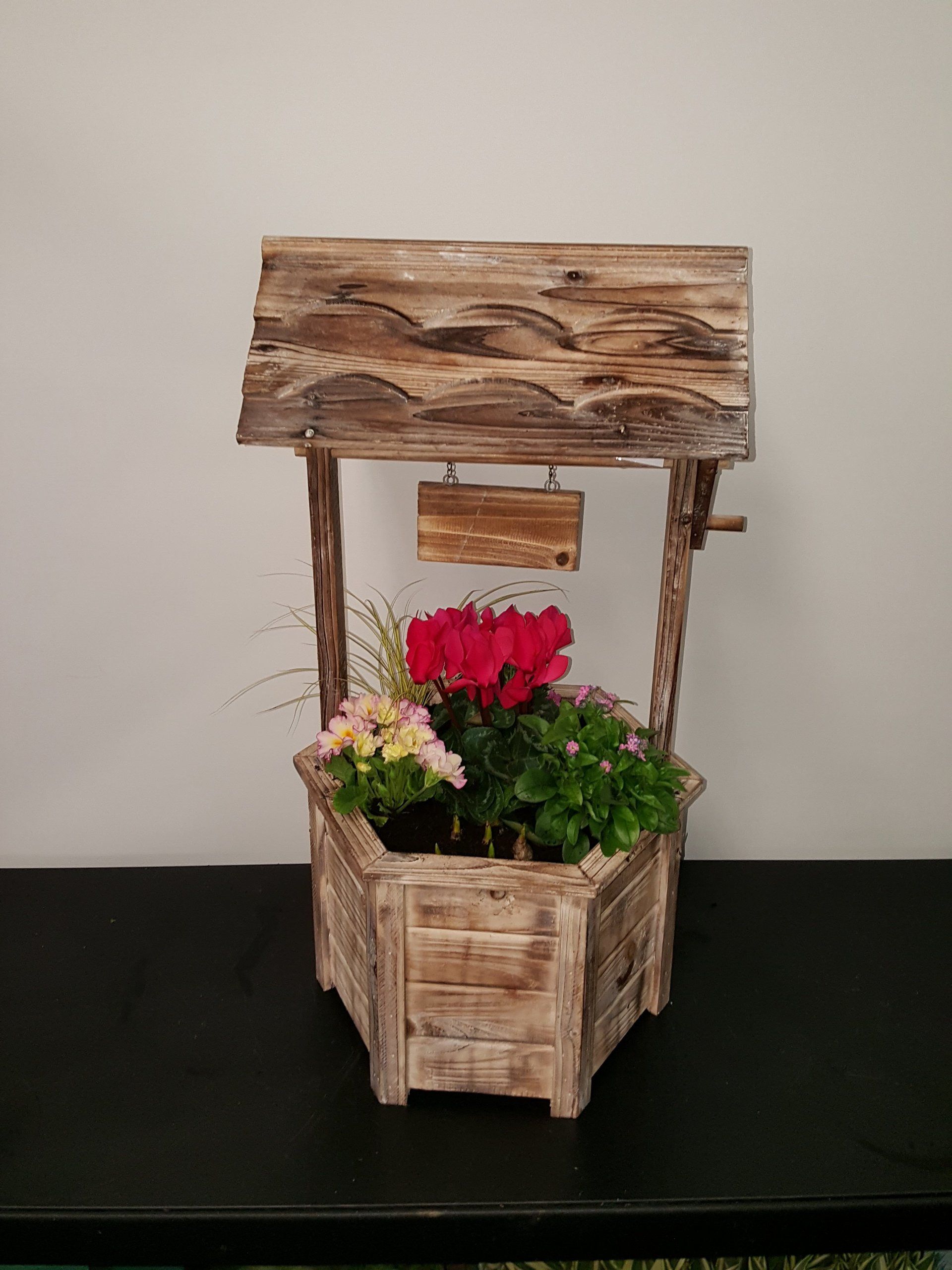 Indoor and Outdoor Plant 11