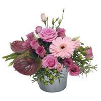 Basket and Container 12