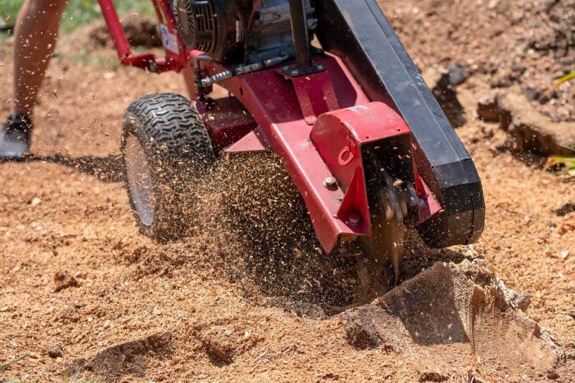 An image of Stump Grinding Services in Farmington, CT