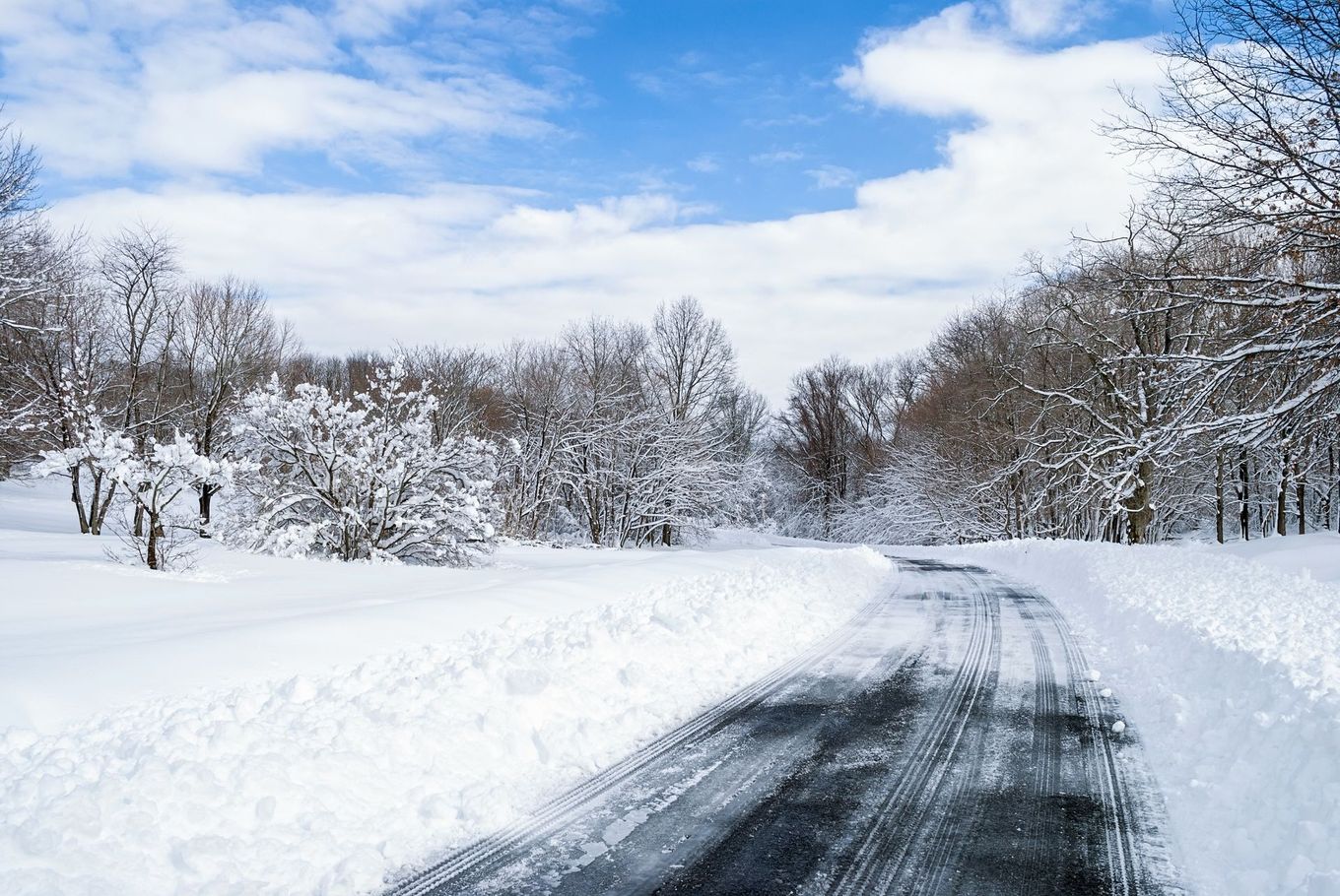 A snowy road with trees on the side and a blue sky in the background.