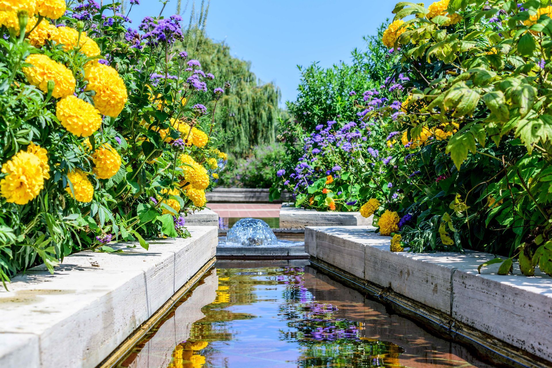 a stream in a garden surrounded by yellow and purple flowers .