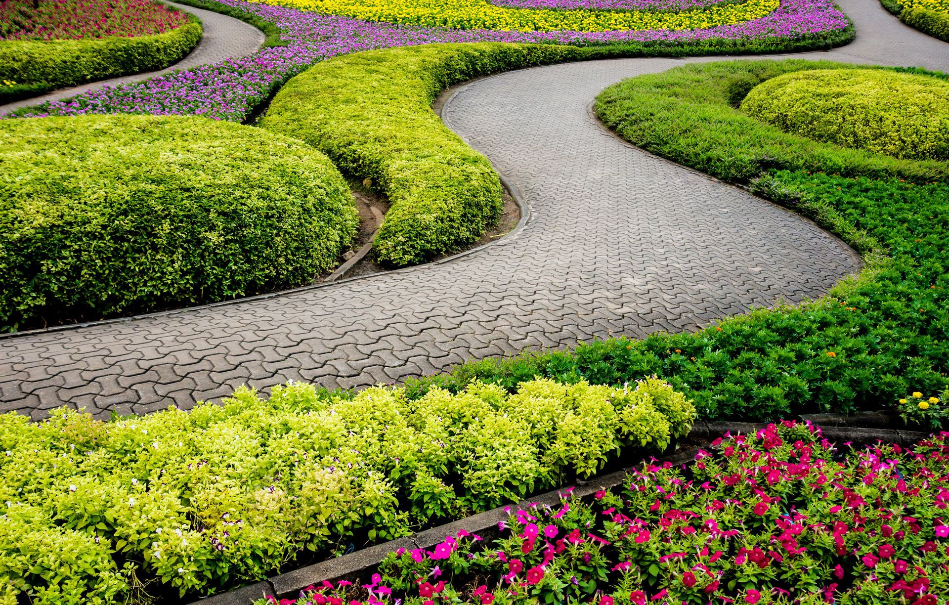 a path in a garden surrounded by flowers and bushes