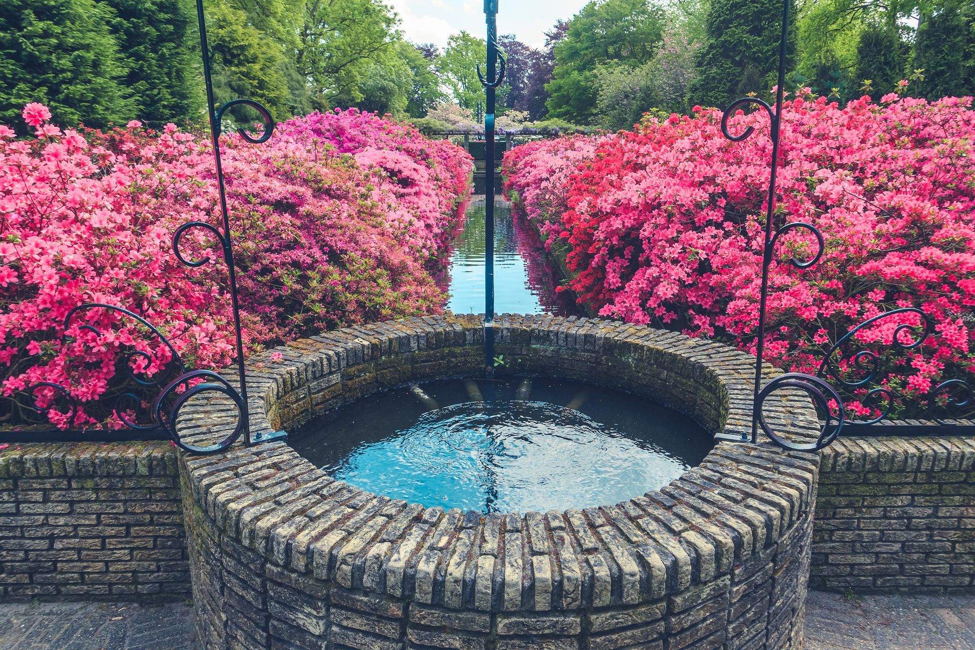 a brick well filled with water in a garden surrounded by pink flowers .