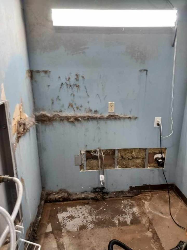 Moldy, damaged utility room with blue walls, exposed pipes, and electrical outlets.
