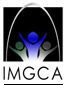 International Mental Game Coaching Association