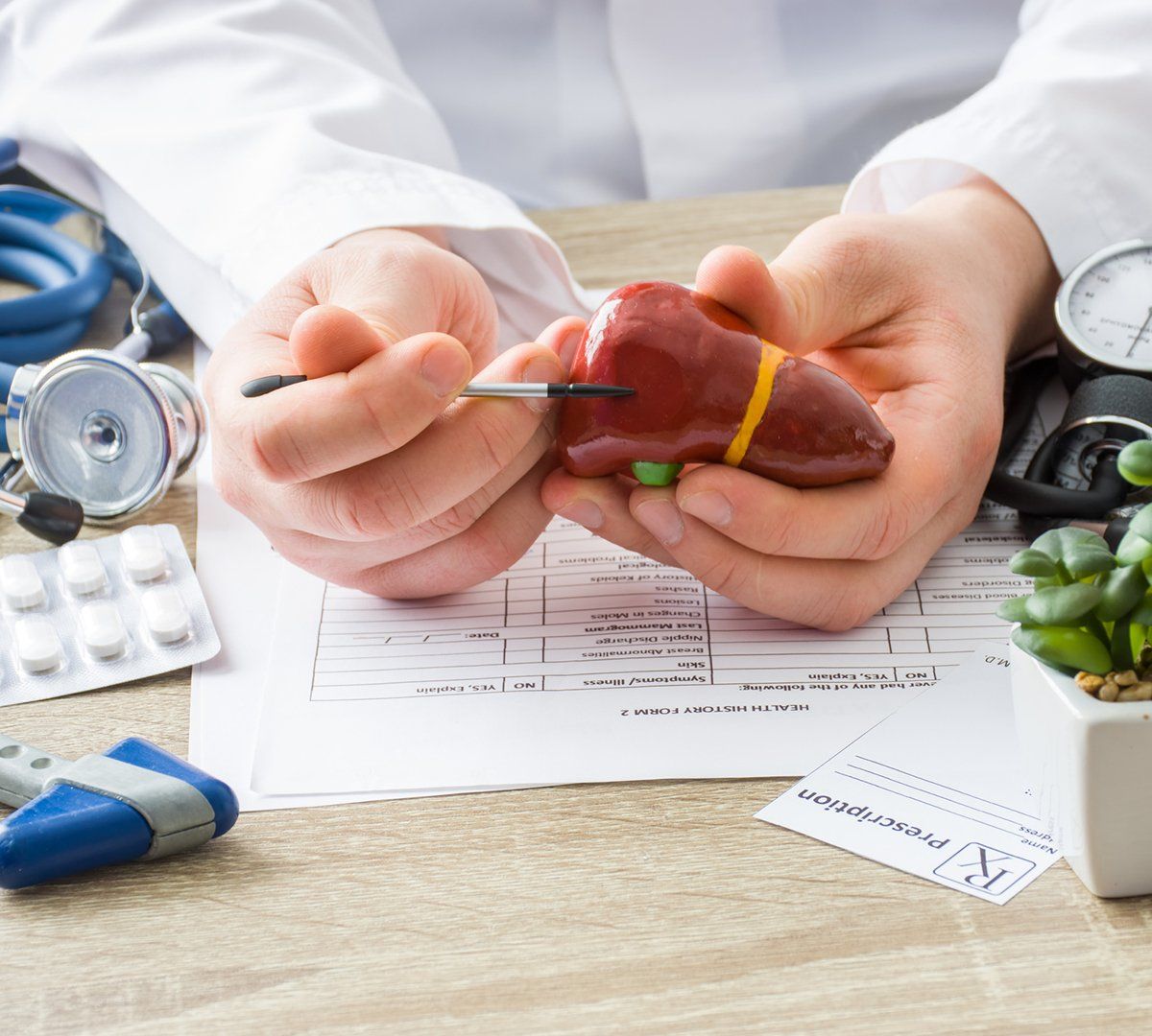 Doctor Explaining While Holding Liver Model — Bakersfield, CA — American Digestive Liver & Nutritional Disease Center