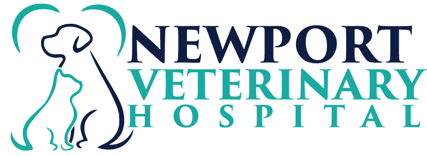 Newport Veterinary Hospital