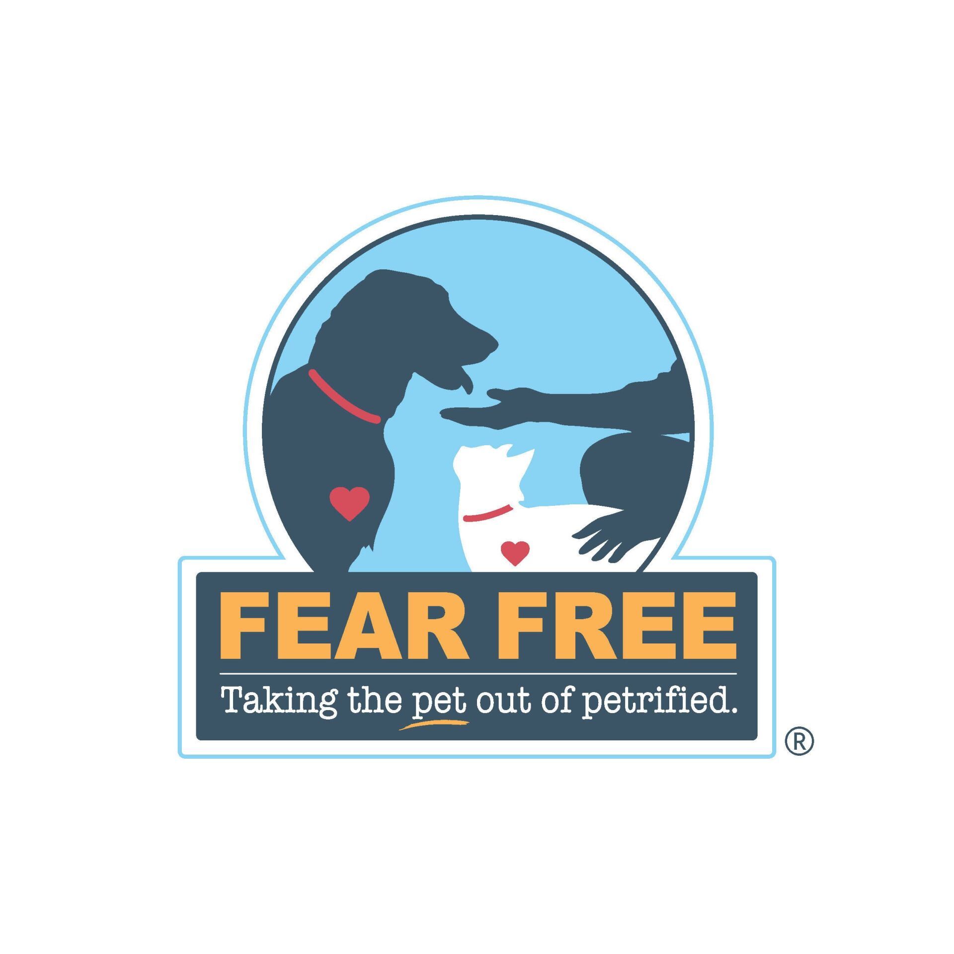 Dr Hailey at Newport Veterinary Clinic fear free certified