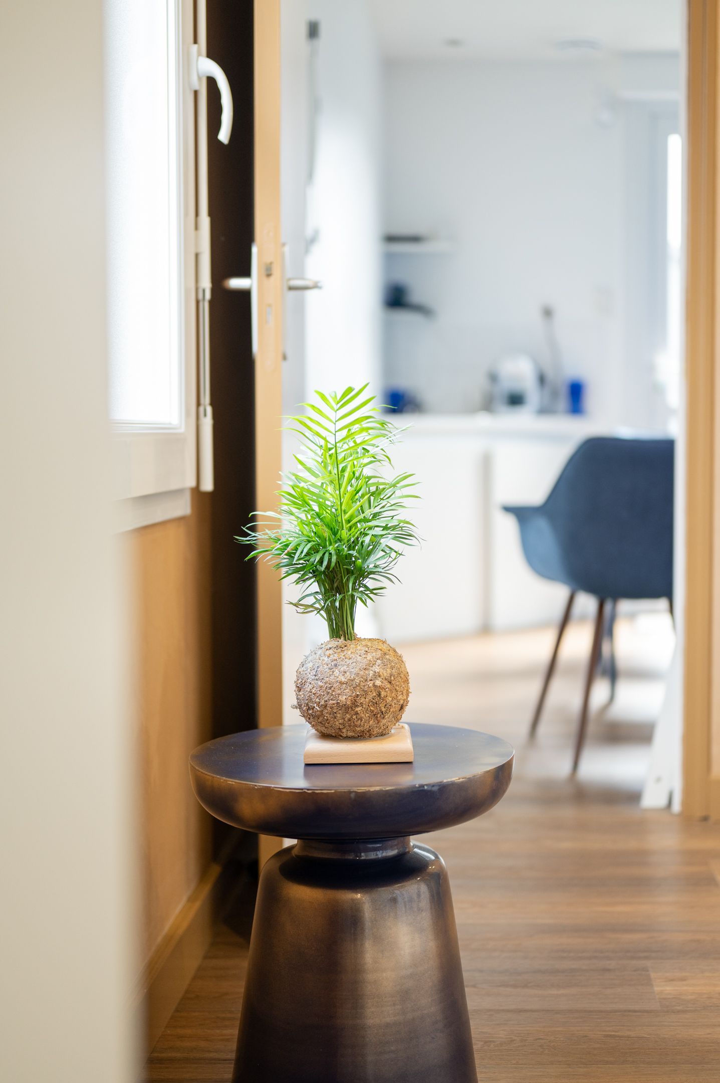 Une petite table avec une plante dessus dans un couloir.