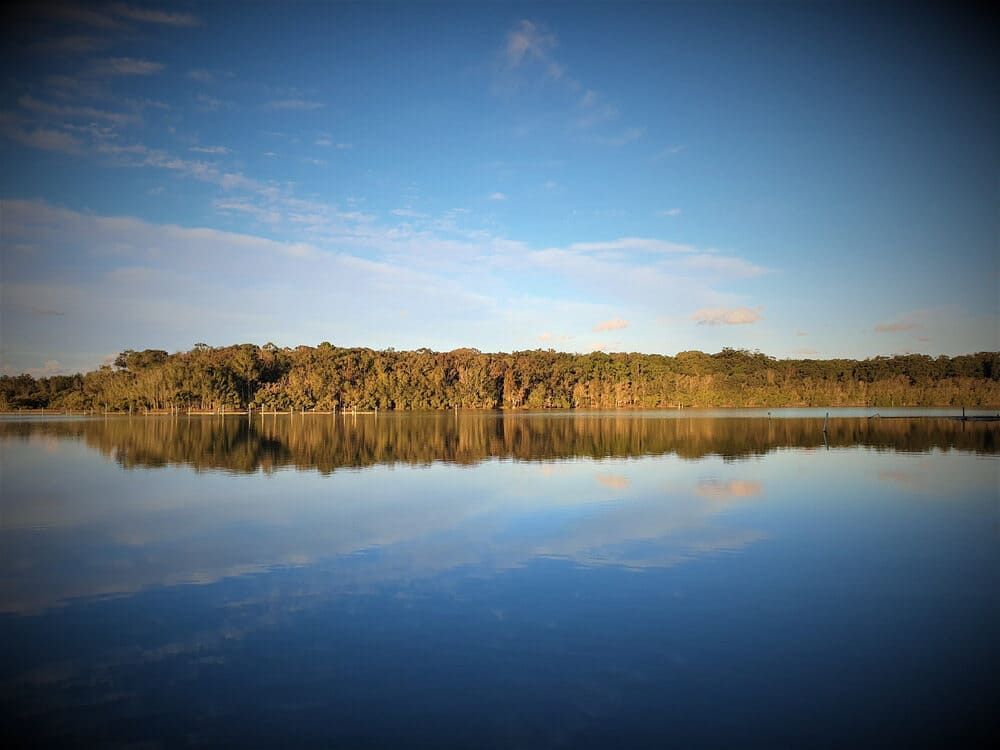 A Large Body of Water With Trees on the Shore and a Blue Sky in the Background — Hastings Scrap Metal Recyclers in Laurieton, NSW