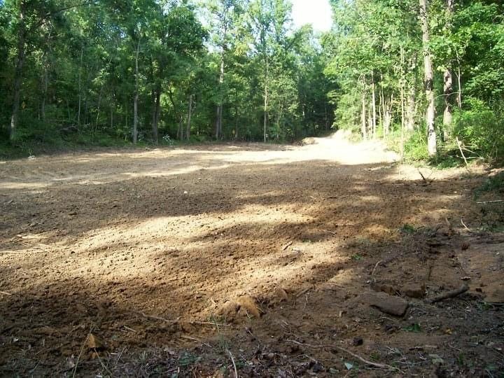 A dirt road in the middle of a forest with trees in the background.