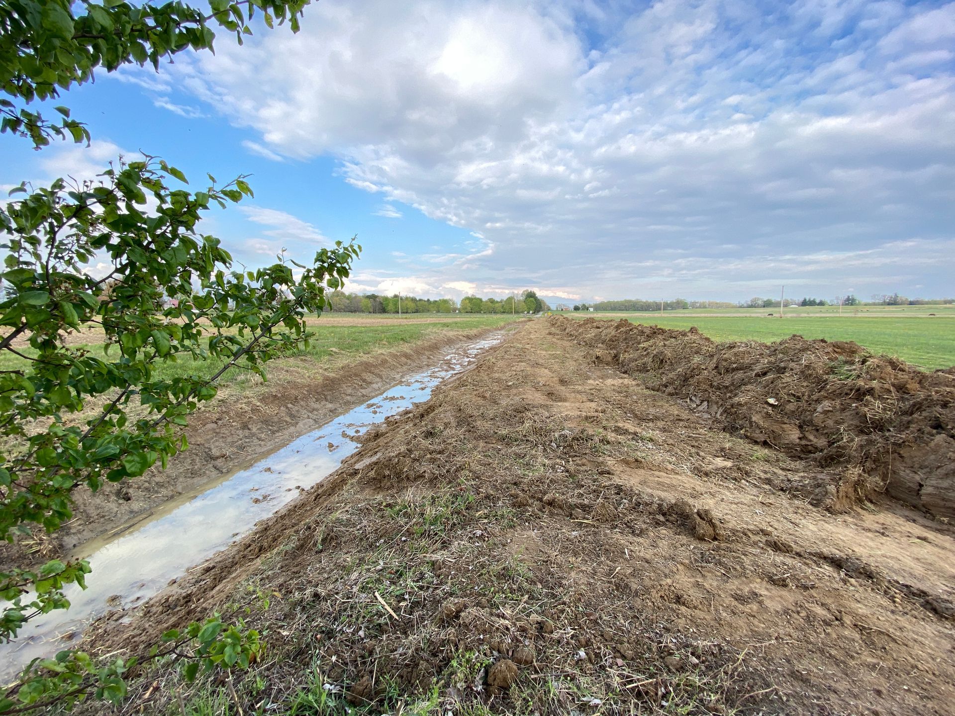 A dirt road going through a field with a tree in the foreground.