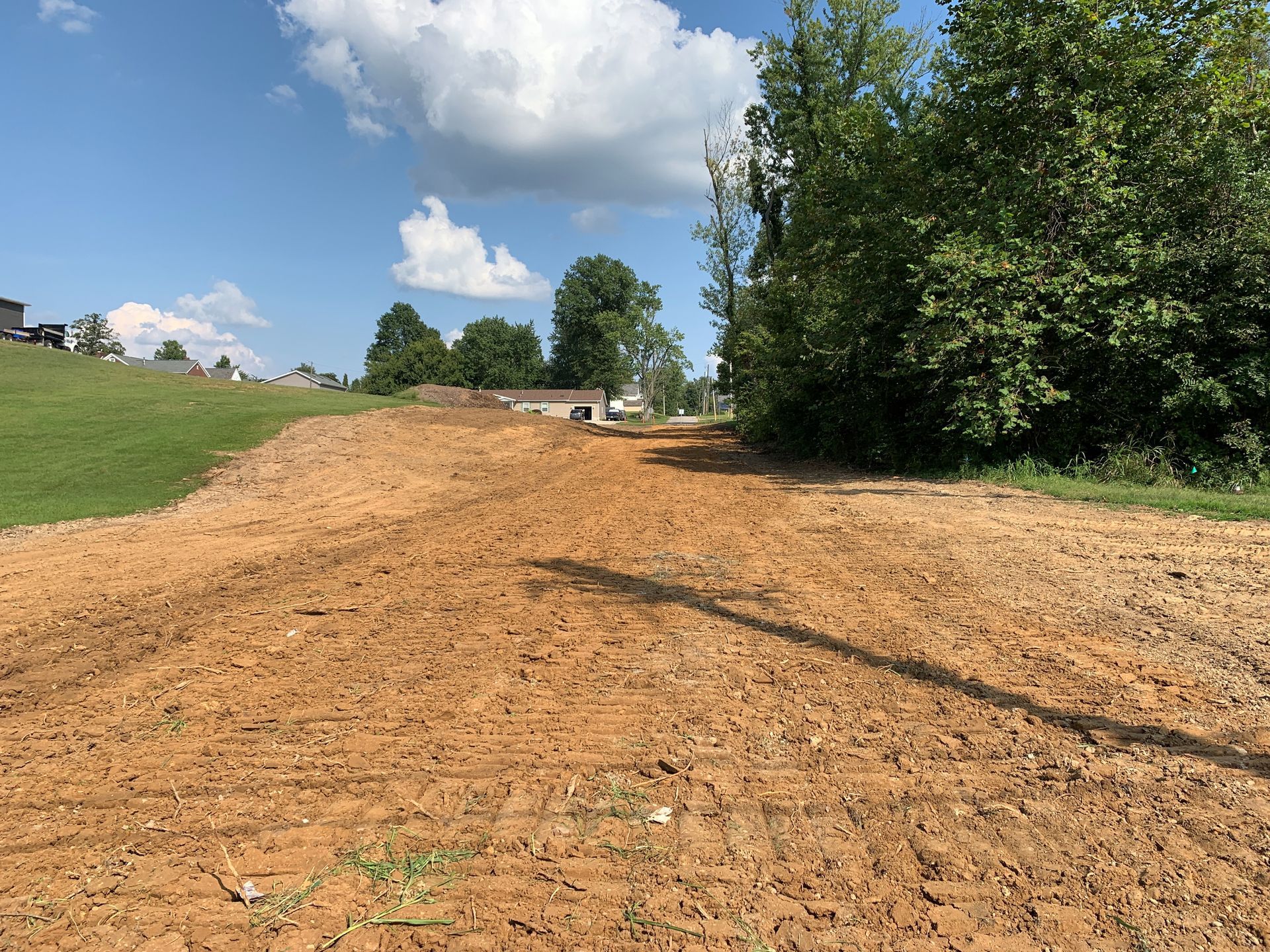 A dirt road with trees on both sides and a blue sky in the background