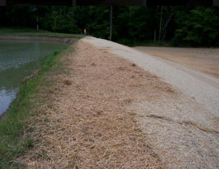 A dirt road going through a grassy area next to a body of water.