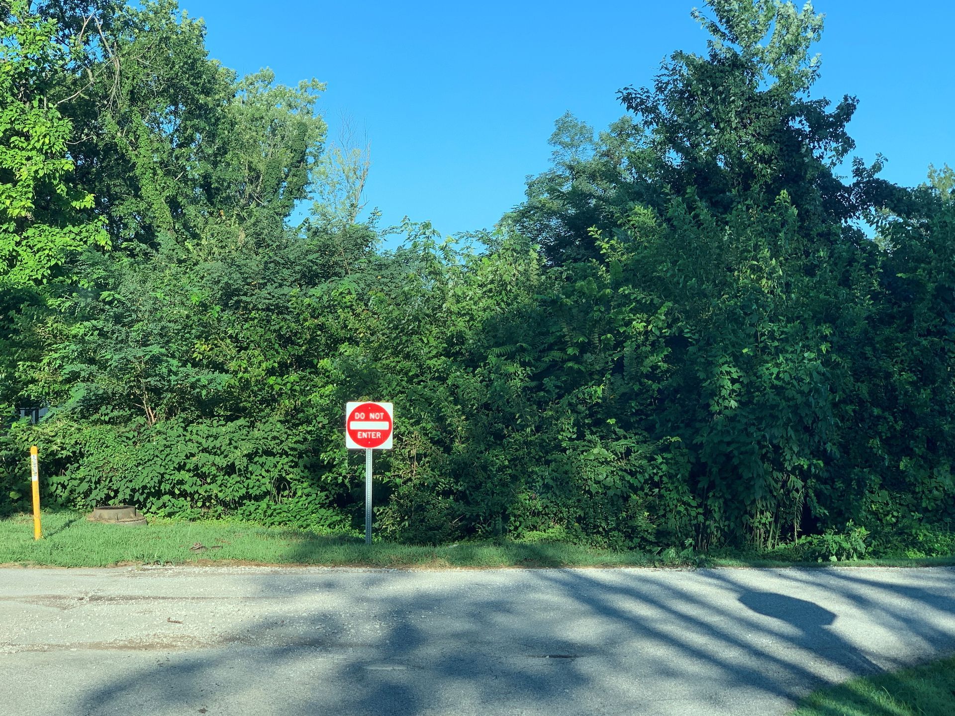 A red do not enter sign is on the side of the road