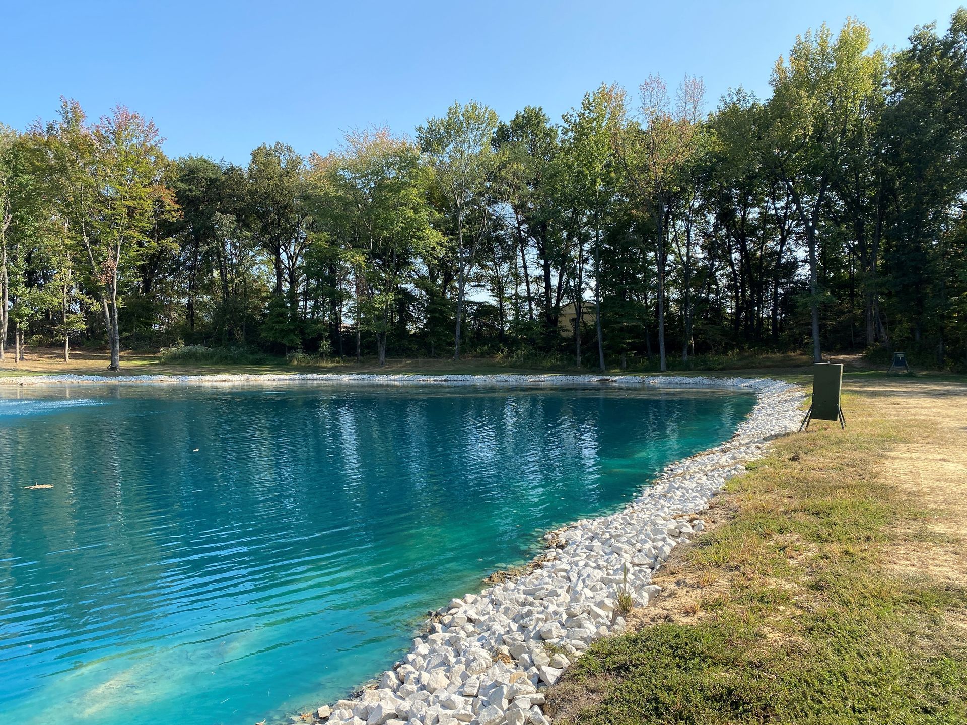 A large body of water surrounded by trees on a sunny day.